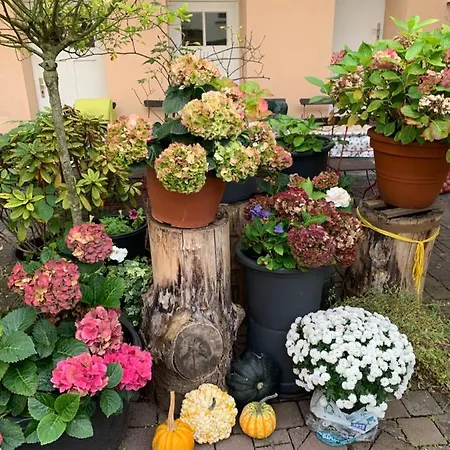 호텔 Gaestehaus Priester 림부르크안더란