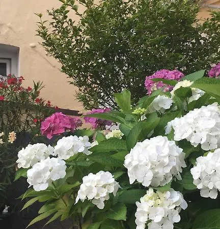 Gaestehaus Priester 호텔