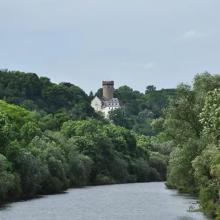 호텔 Gaestehaus Priester 3*