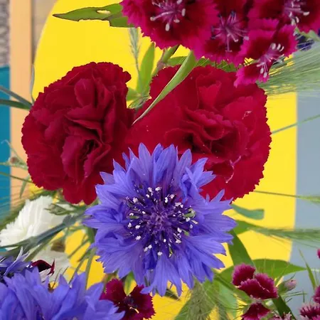 Gaestehaus Priester 3* 림부르크안더란