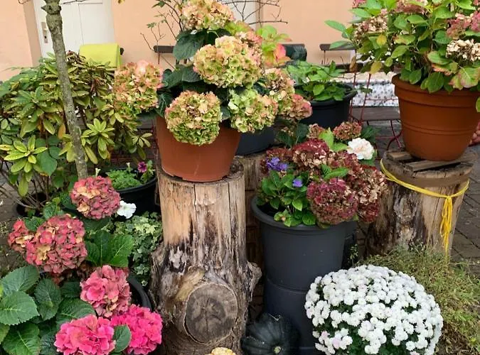 Szálloda Gaestehaus Priester Limburg an der Lahn