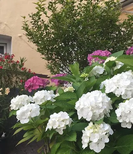 Gaestehaus Priester Szálloda