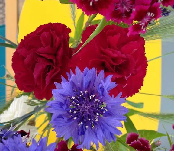 Gaestehaus Priester 3* Limburg an der Lahn